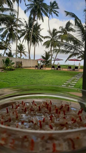 Akurala Beach Boutique Resort Exterior photo